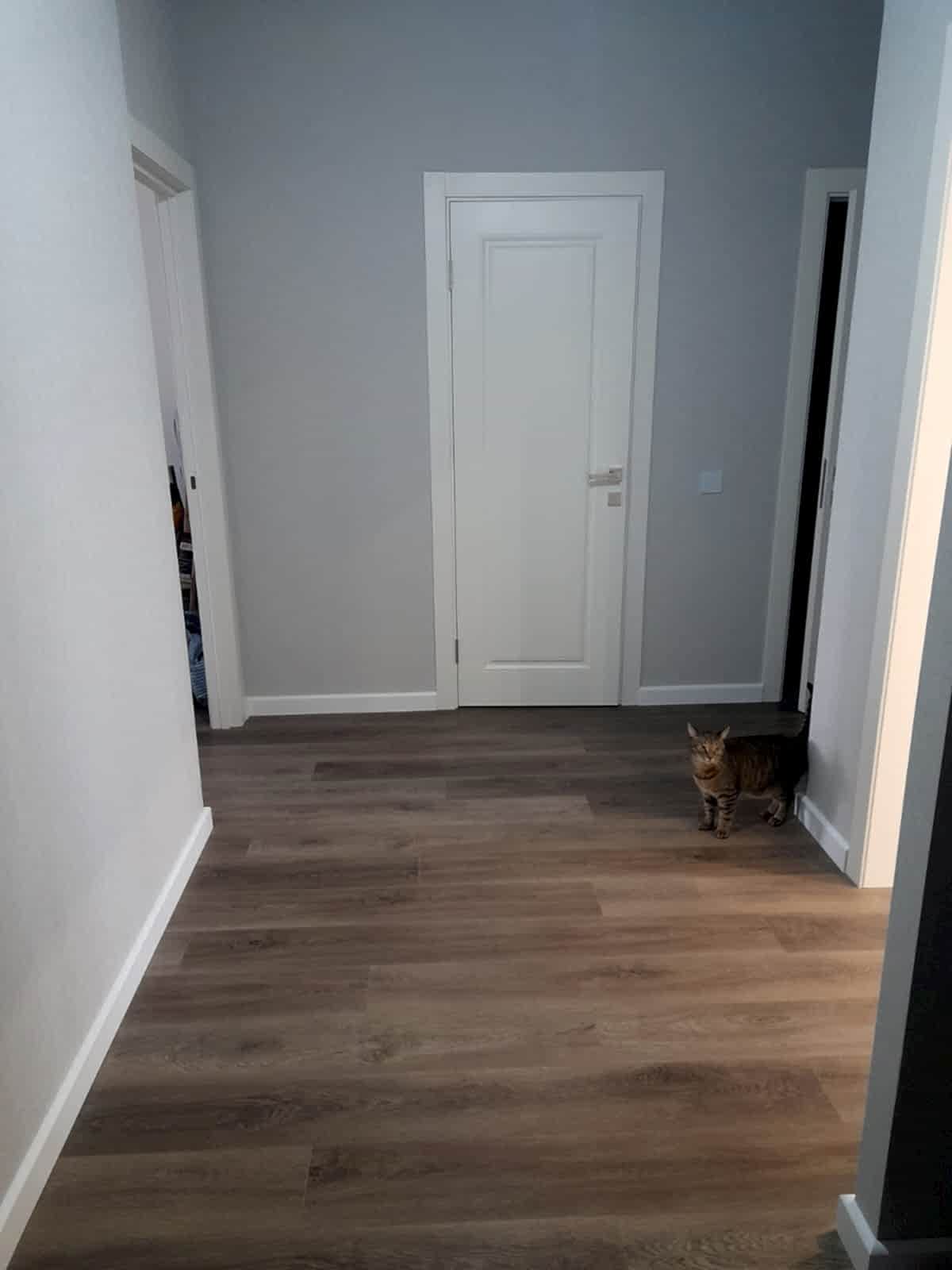 Эконом ремонт 4